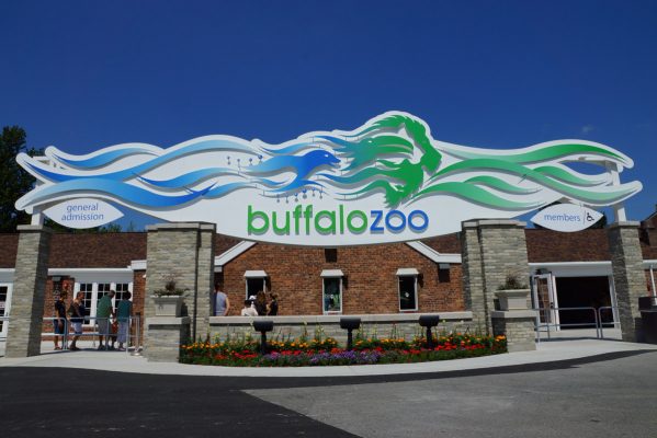 Buffalo-Zoo-01